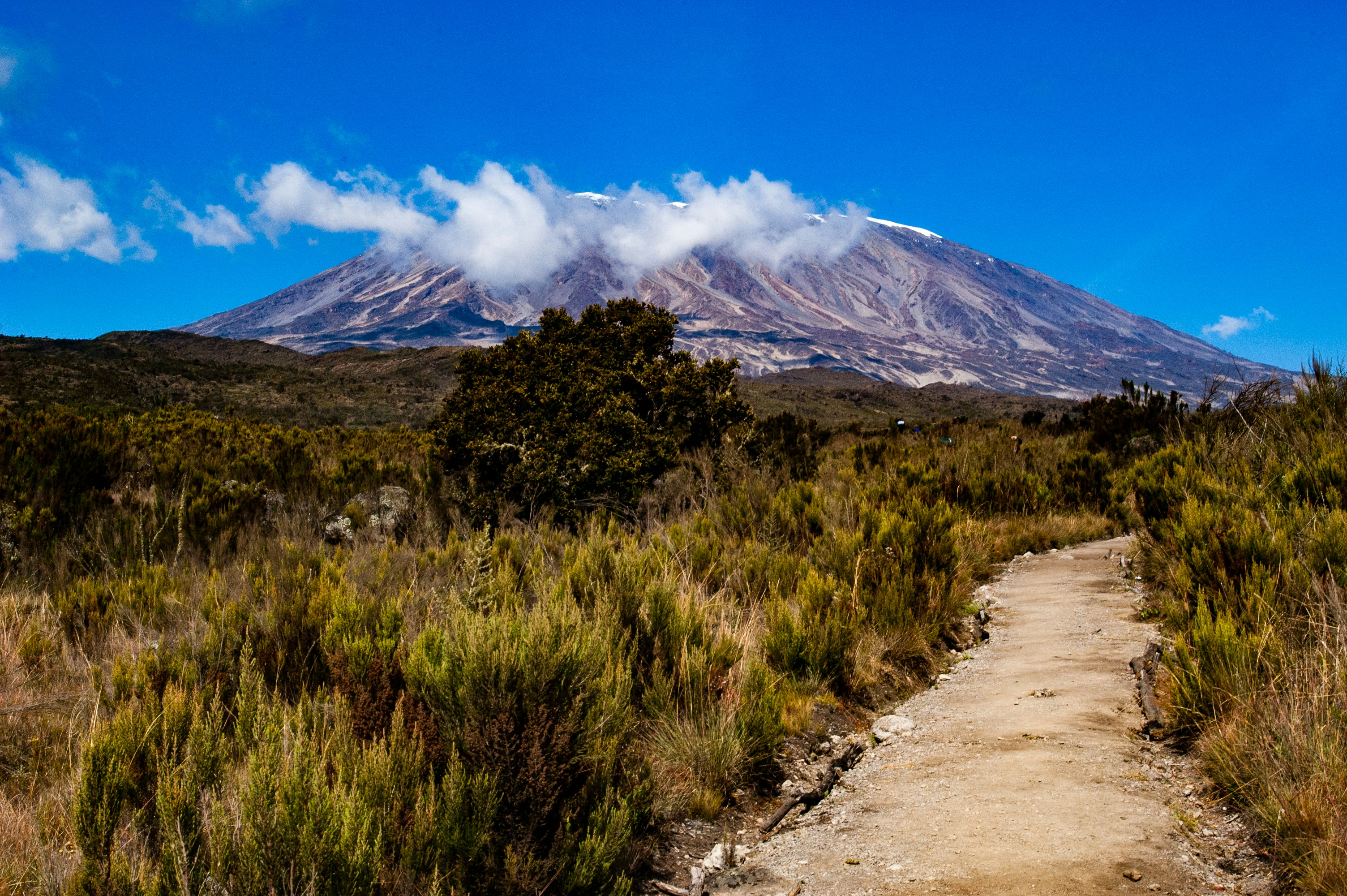 7 Days Kilimanjaro Machame Route - Sabrahm Safaris