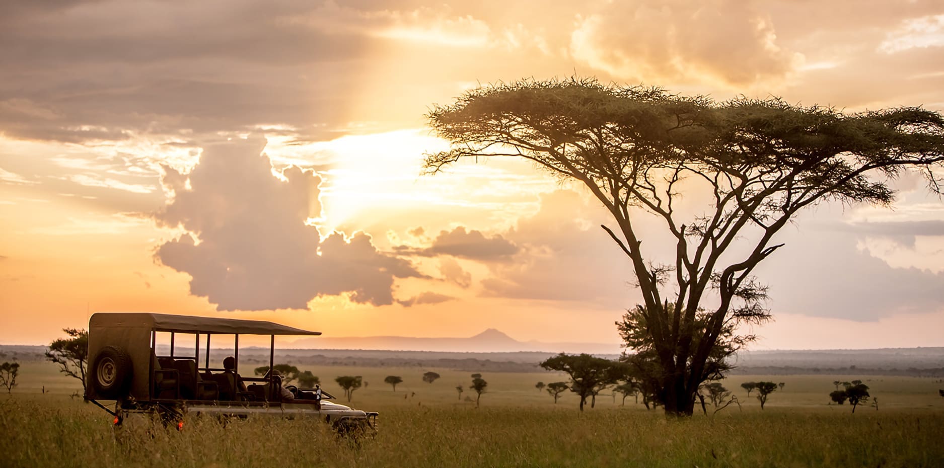 7-Day Southern Tanzania & Zanzibar Bush to Beach Escape - Sabrahm Safaris
