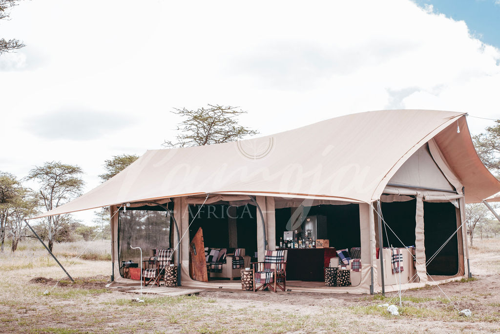 Safari Gallery - Sabrahm Safaris