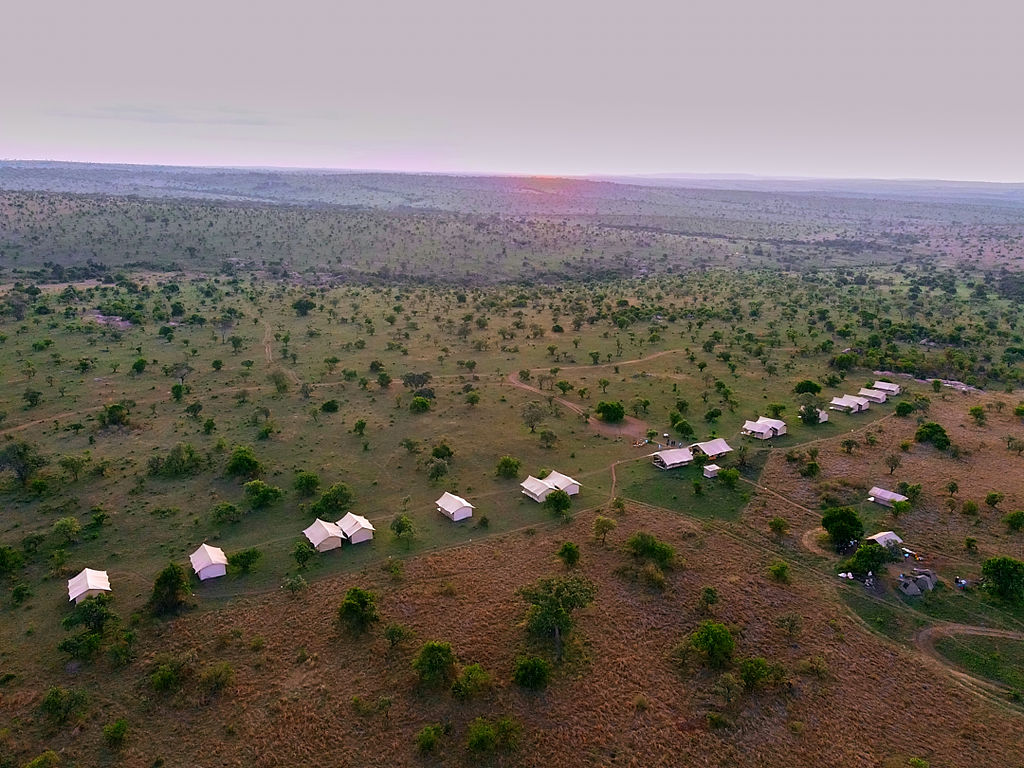 Safari Gallery - Sabrahm Safaris