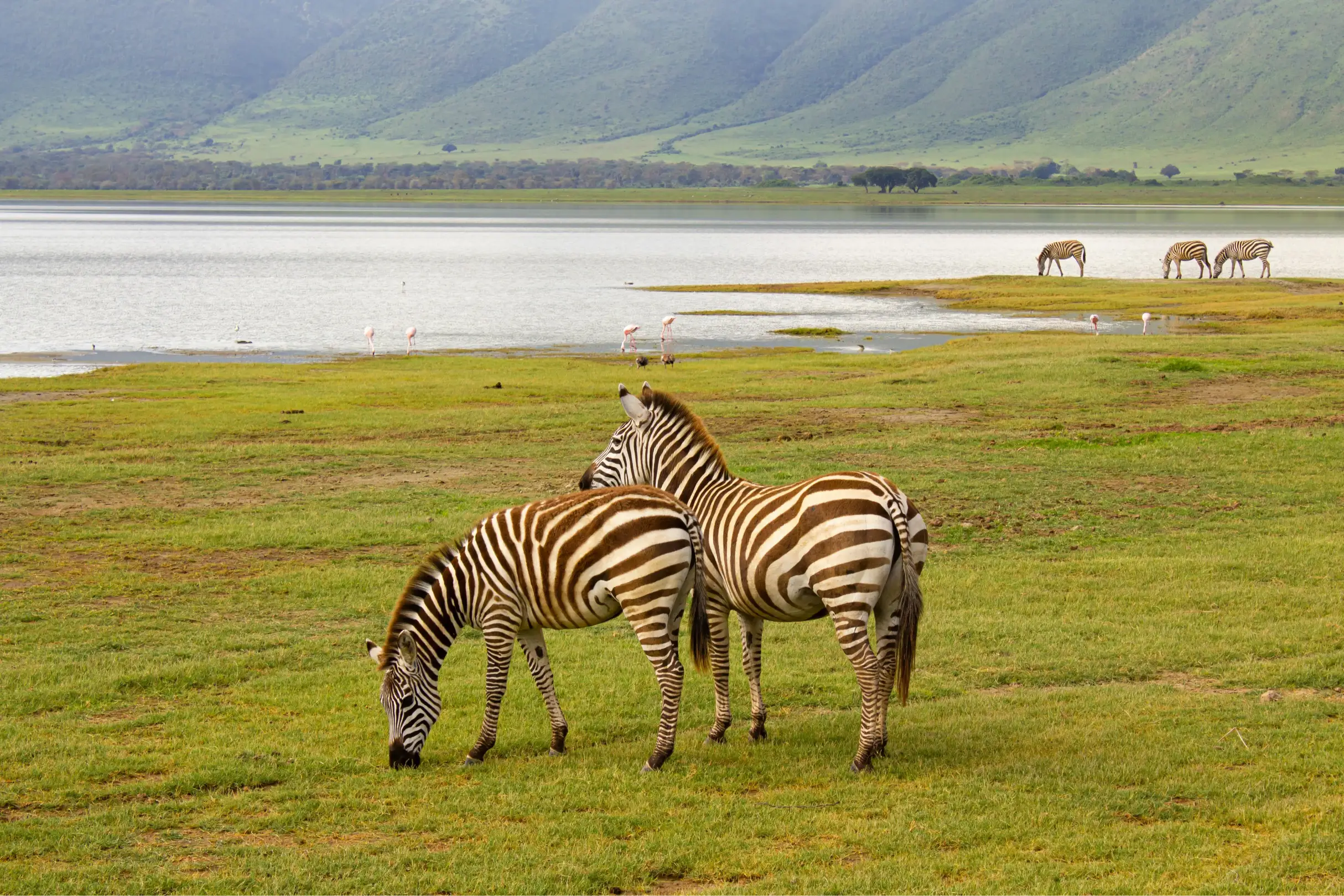 LAKE MANYARA NATIONAL PARK