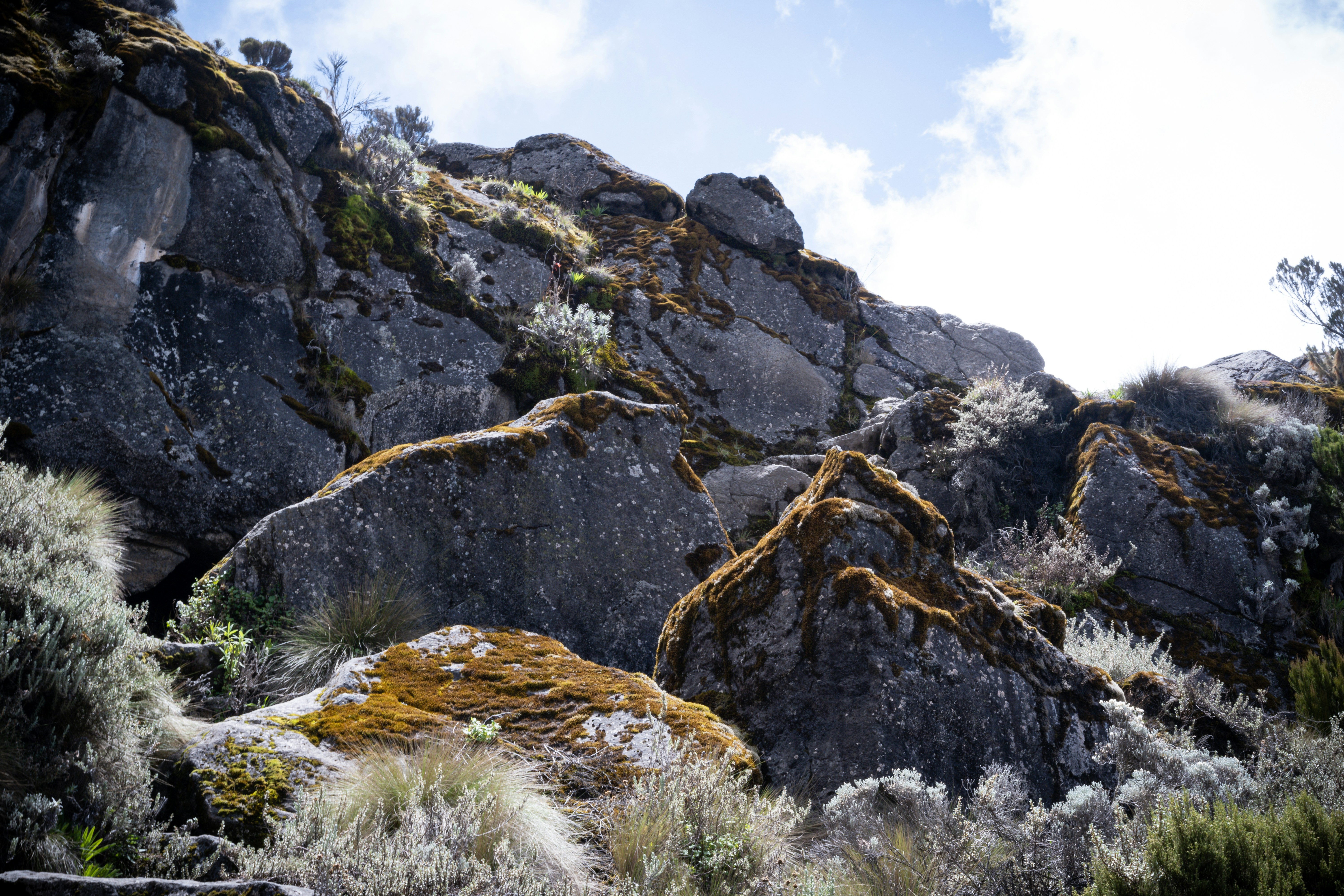 6 Days Kilimanjaro Marangu Route - Sabrahm Safaris