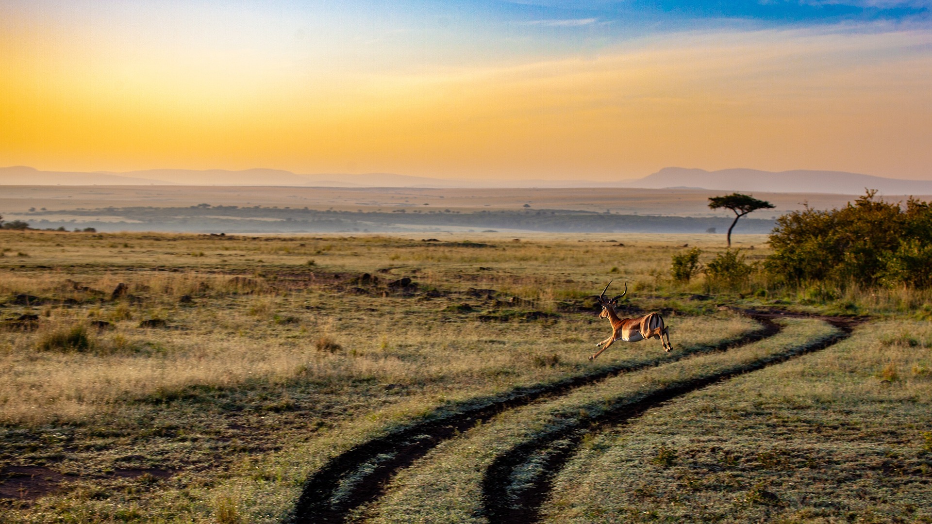 4-Day Mid-Range Safari (Iconic Destinations) - Sabrahm Safaris